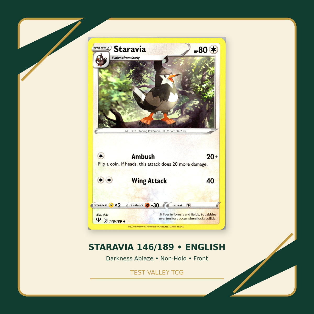 Staravia 146/189 - Darkness Ablaze - Non-Holo - front