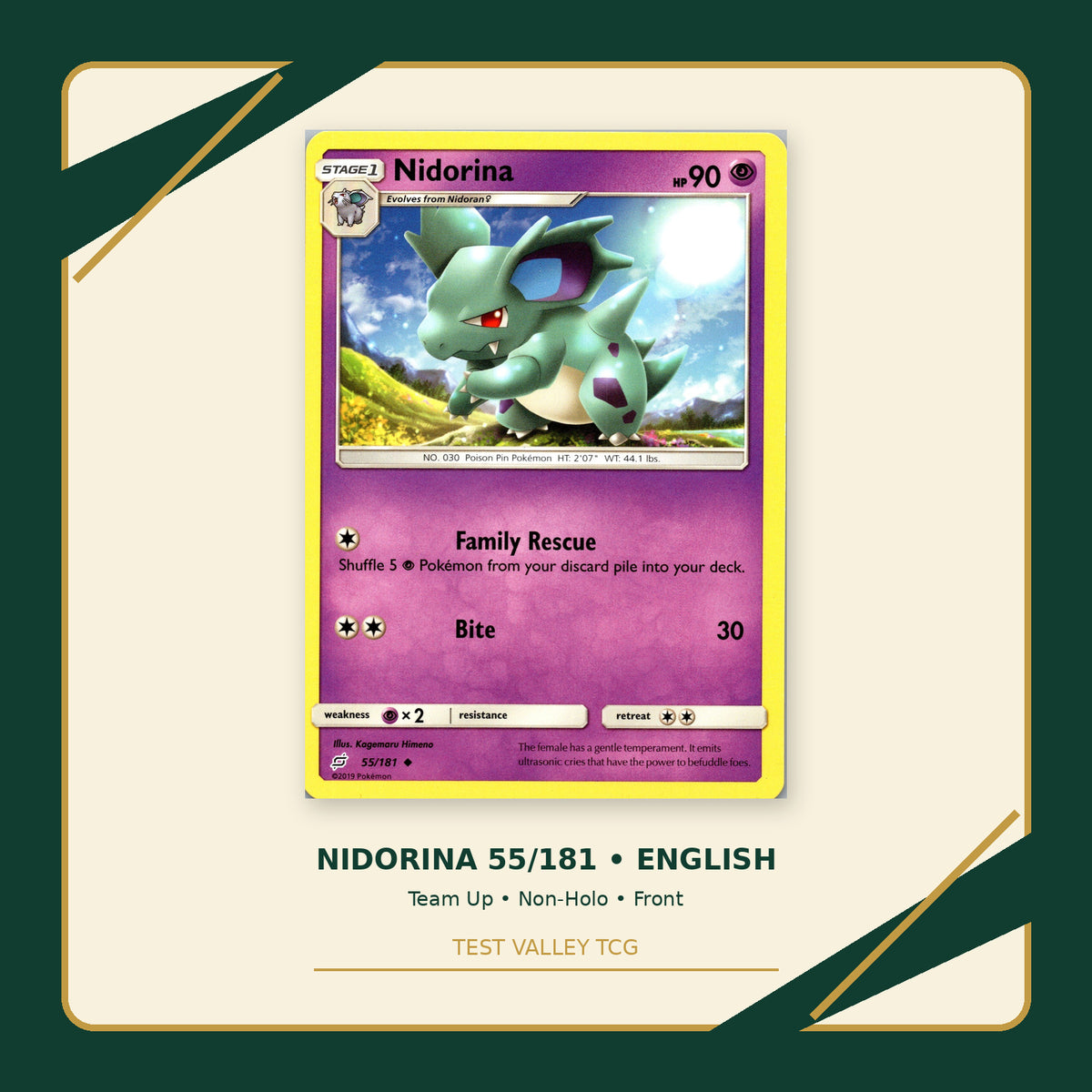 Nidorina 55/181 - Team Up - Non-Holo - front