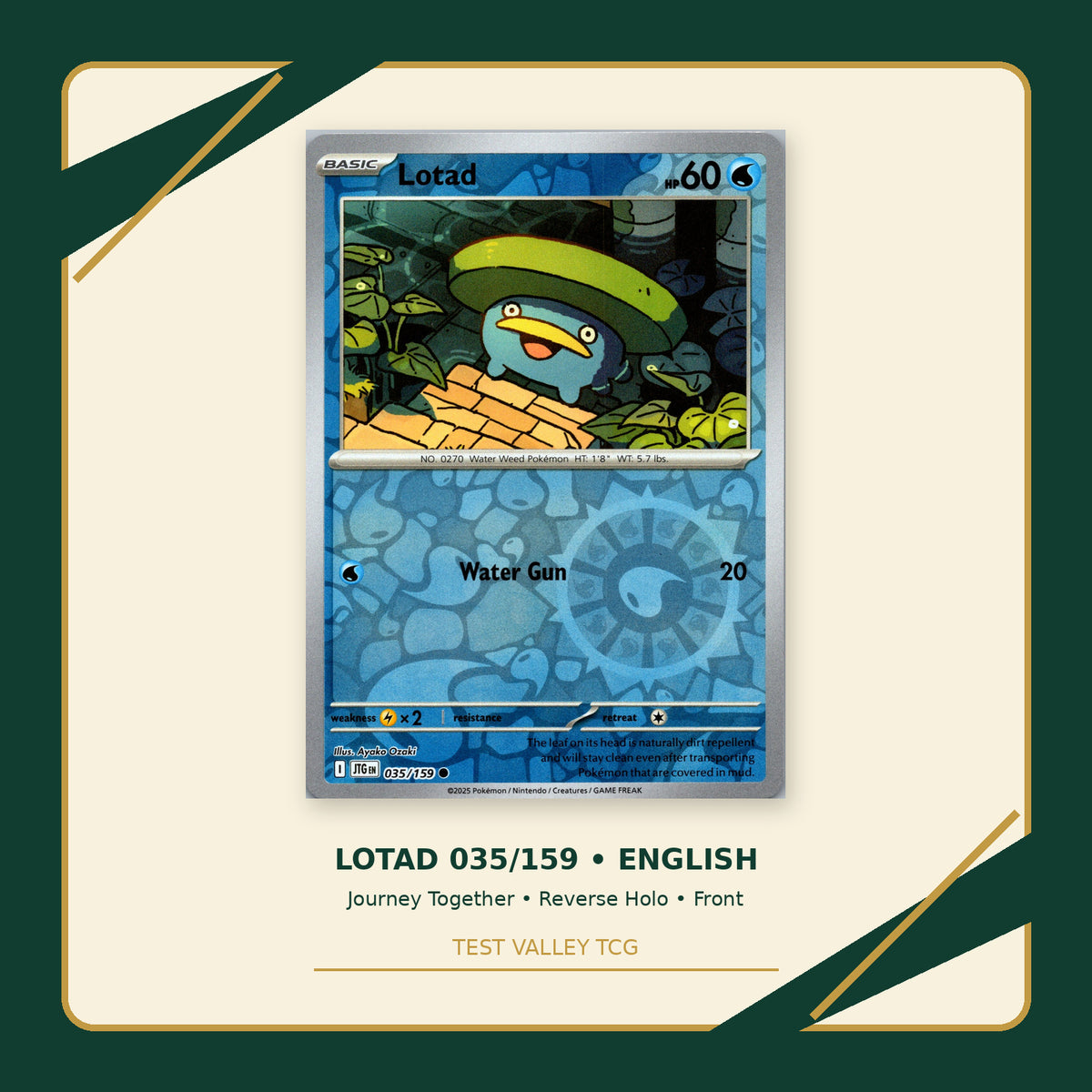 Lotad 035/159 - Journey Together - Reverse Holo - front