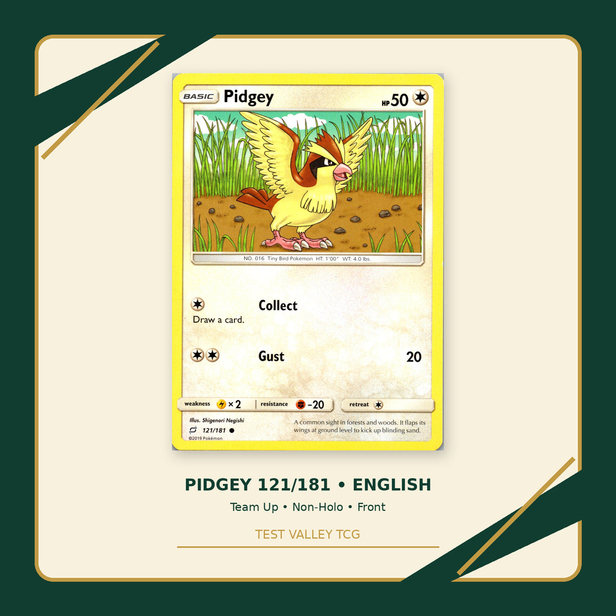 Pidgey 121/181 - Team Up - Non-Holo - front