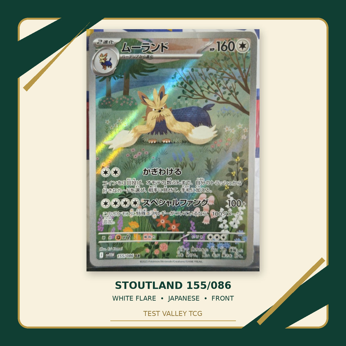 Stoutland 155/086, White Flare, Japanese — front cropped photograph with Test Valley TCG frame